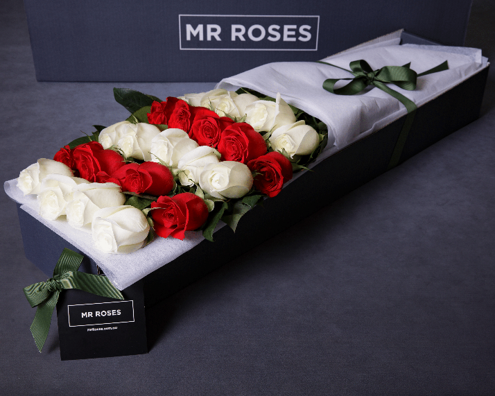 white and red long stemmed roses