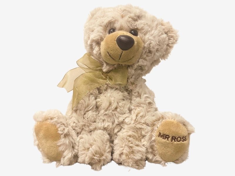 Valentine's Day Teddy