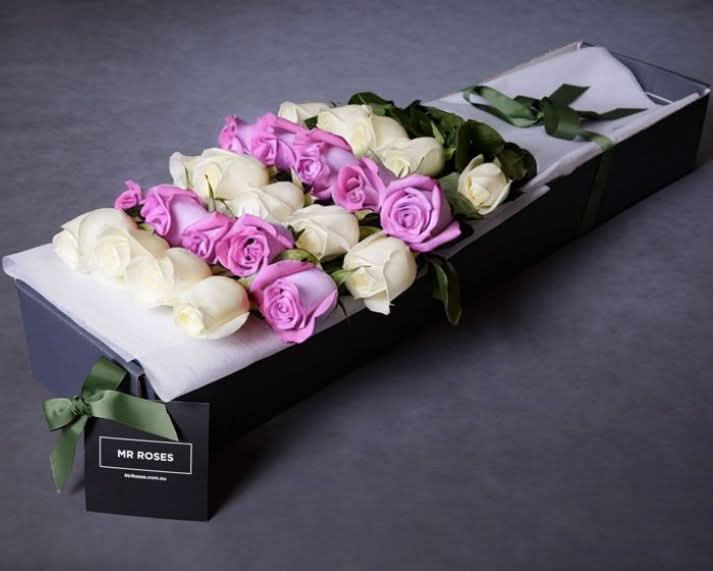 Long Stemmed White & Purple Roses