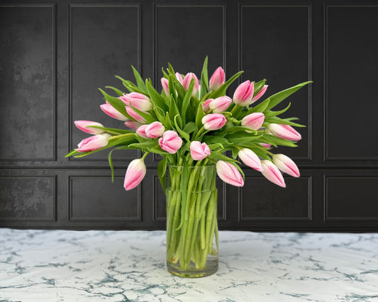 Pink Tulips Special
