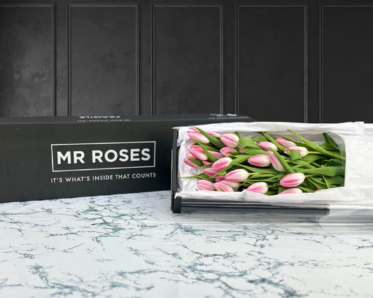 Pink Tulips Special