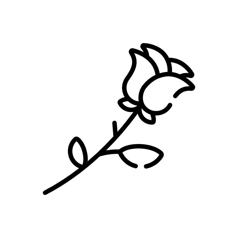 One extra stem of the same flower