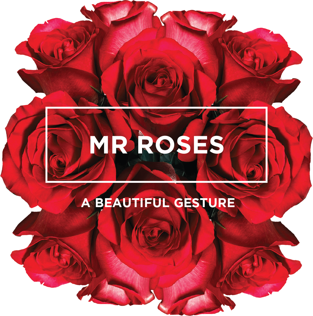 Mr Roses Logo Mr Roses | Online Florist Australia
