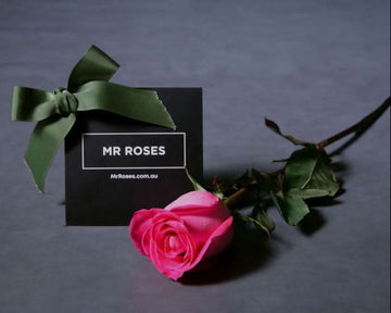 Send Flowers & Roses for Same Day Delivery | Mr Roses