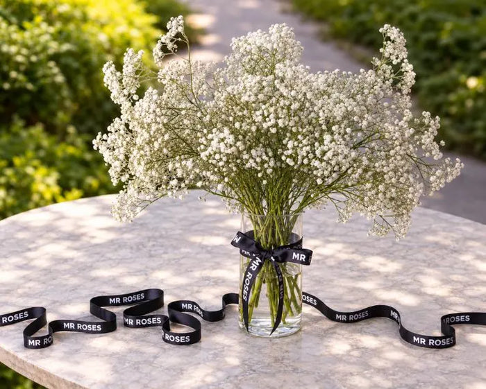 Mr Roses Baby's Breath Boxed