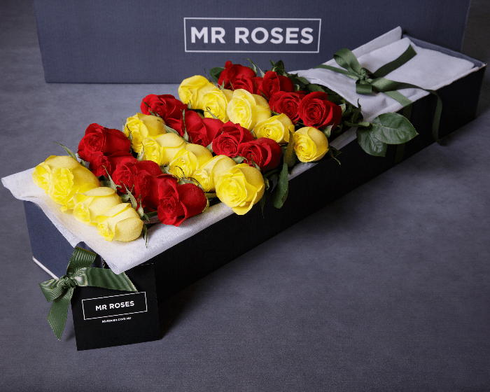 red and yellow long stemmed roses