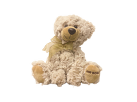 Valentine's Day Teddy