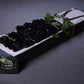 boxed black roses