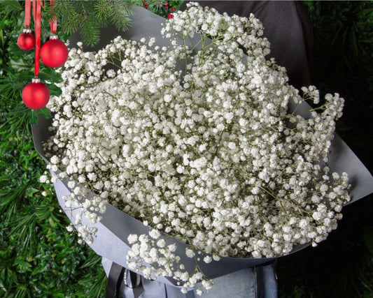 Christmas Flowers - Baby's Breath Flower Bouquet