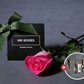 Mother's Day Flowers - Single Long Stemmed Pink Rose Bundle