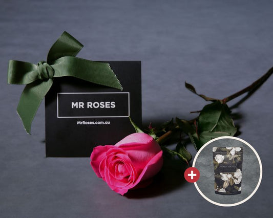 Mother's Day Flowers - Single Long Stemmed Pink Rose Bundle