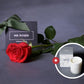 Mother's Day Flowers - Single Long Stemmed Red Rose Bundle