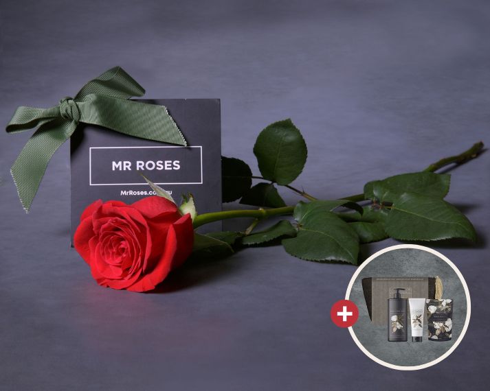 Mother's Day Flowers - Single Long Stemmed Red Rose Bundle