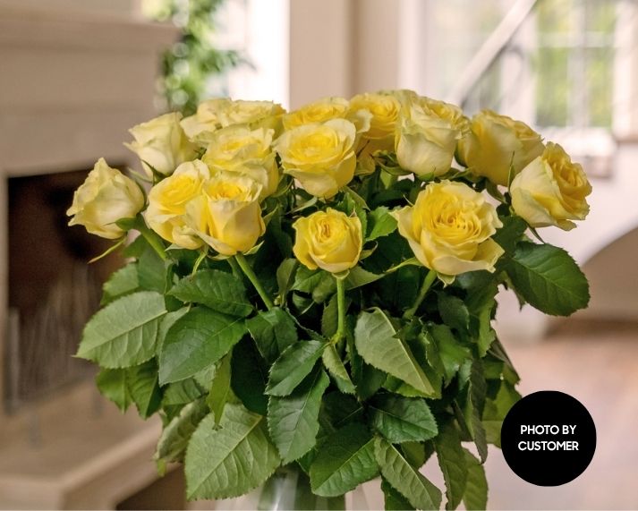 yellow long stemmed roses customer photo