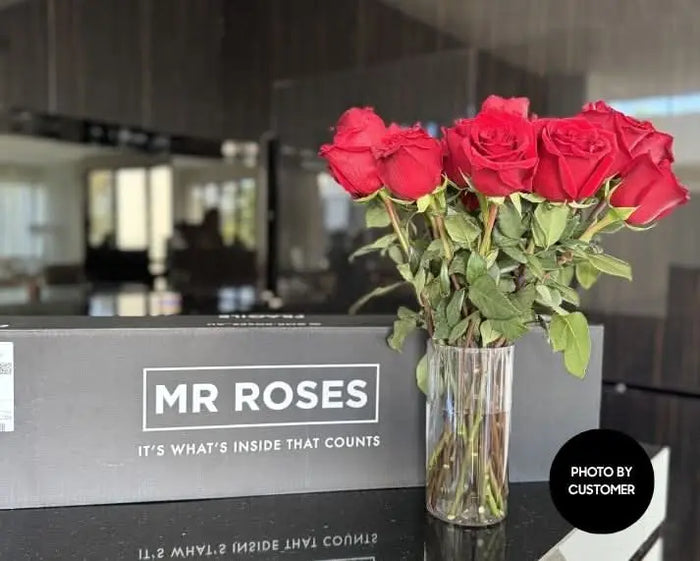 Mrr Roses Long Stemmed Red Roses | Mr Roses | Same Day Delivery