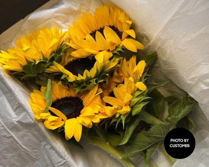 mr roses sunflowers customer photo