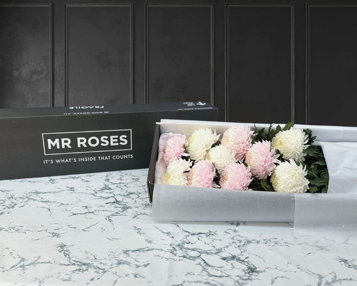 pink and white chrysanthemum flower arrangement