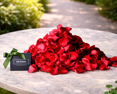 Valentine's Day Red Rose Petals