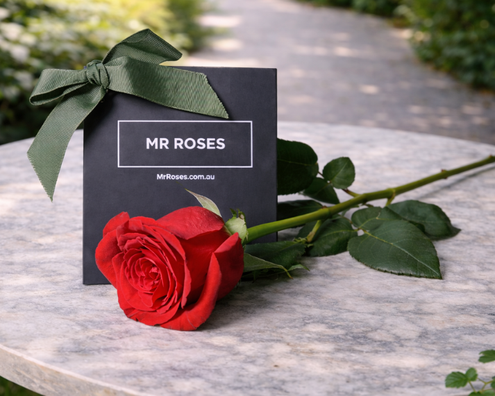 Valentine's Day Flowers - Single Red Rose