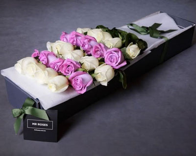 Long Stemmed White & Purple Roses