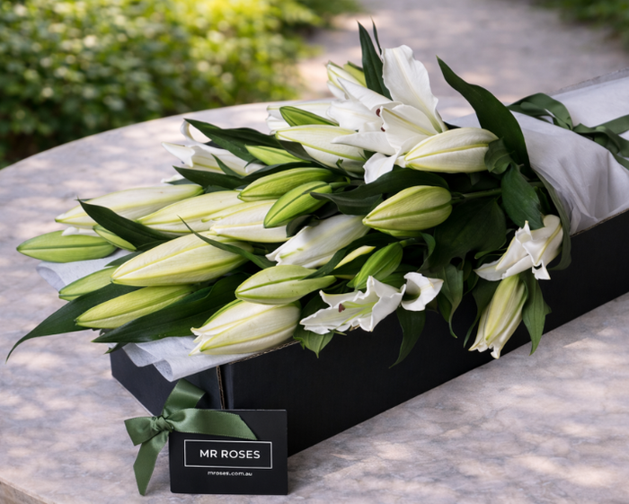 black roses and white lilies White Lilies | Fragrant White Oriental Lily