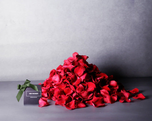 Graze & Gaze Exclusive - Red Rose Petals (Standard)