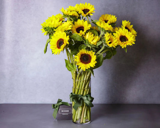 Sydney Sunflowers Special (15-30 stems)