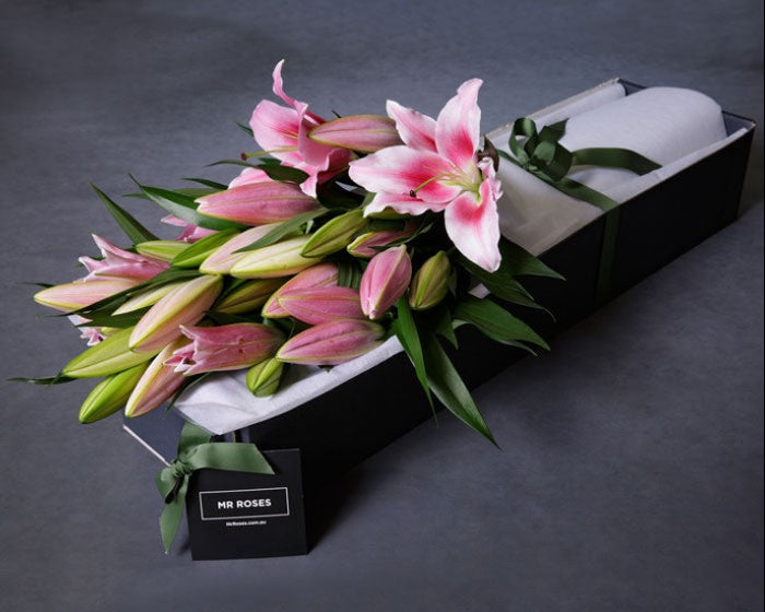 pink lily flower in mr roses gift box