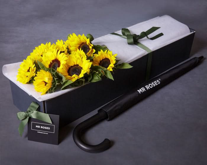 Mrr Roses Stunning Sunflowers | Fast Same Day Delivery | From $69 | Mr Roses