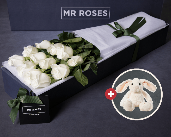 Buy White Roses | From $69 | Same Day Delivery | Mr Roses