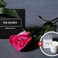 Mother's Day Flowers - Single Long Stemmed Pink Rose & Mr Roses Rose Scented Candle