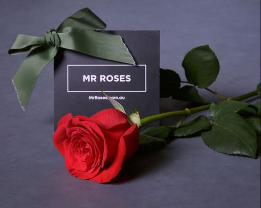 Mr Roses Logo Corporate Gifts | Same Day Delivery | Flowers & Hampers | Mr Roses